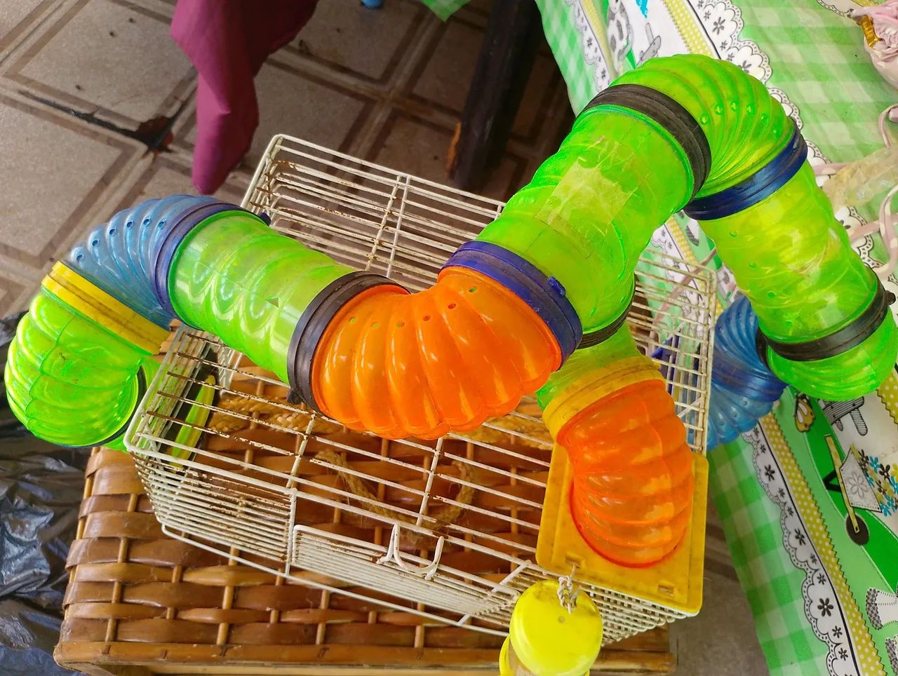 Gaiola para ramister  - Foto 3