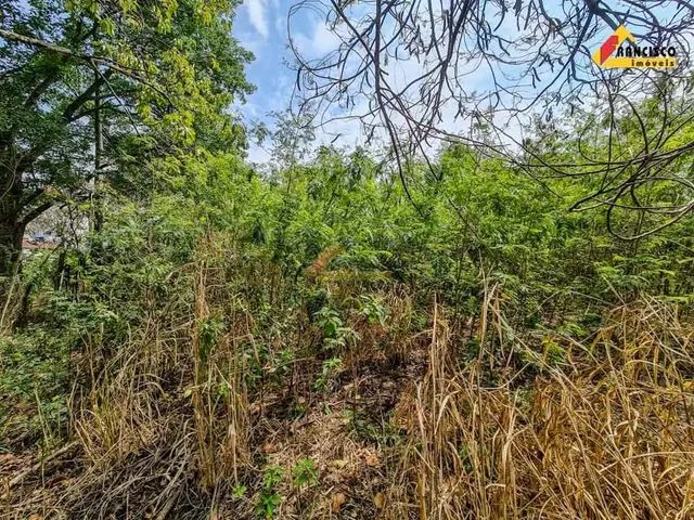 Lote à venda, Interlagos - Divinópolis/MG - Foto 4