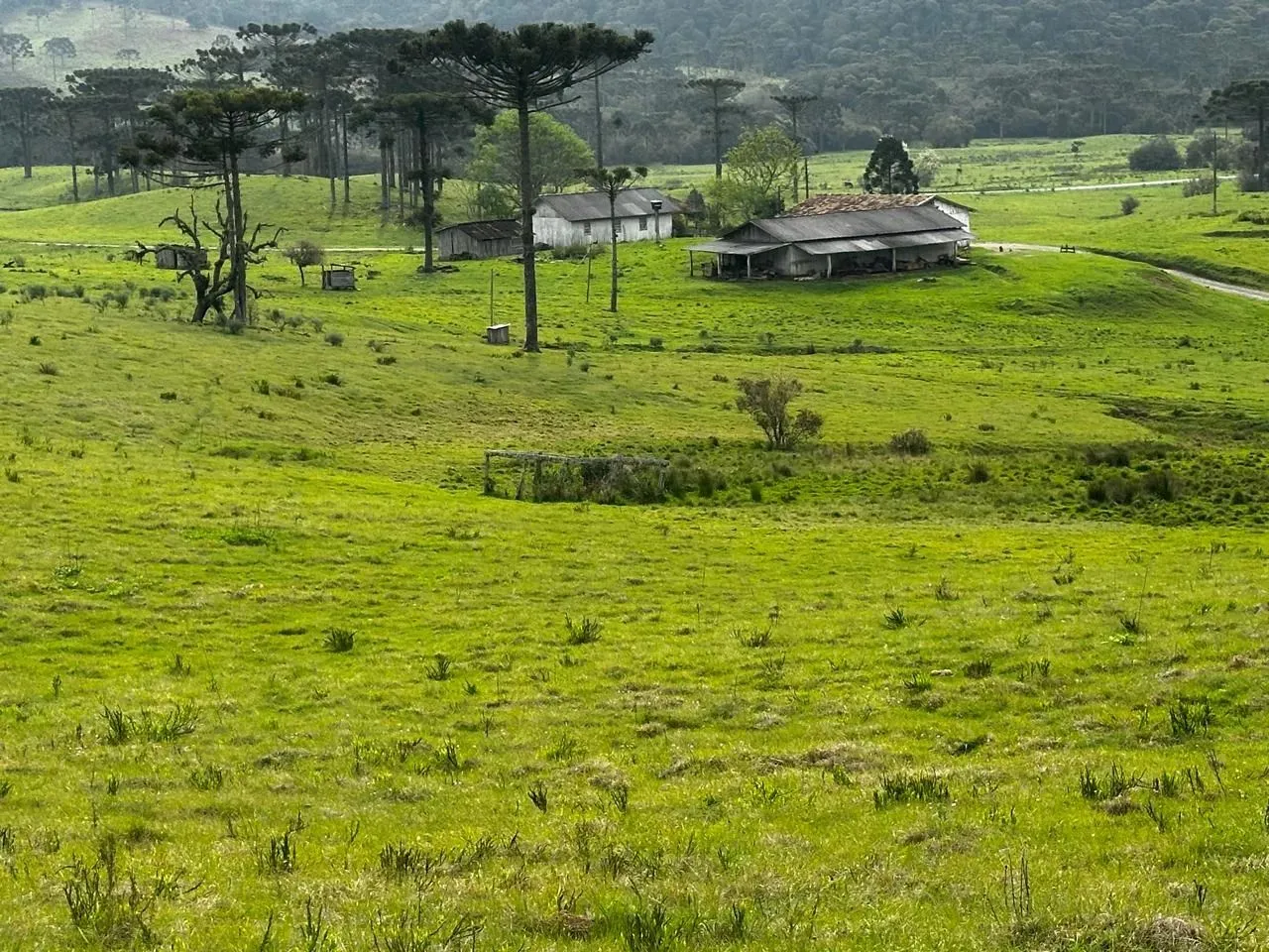 Fazenda/Sítio/Chácara em Bom Retiro - Serra Catarinense