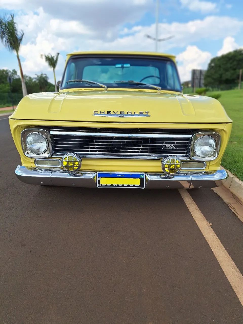 Chevrolet C-10 1969 Usados e Novos