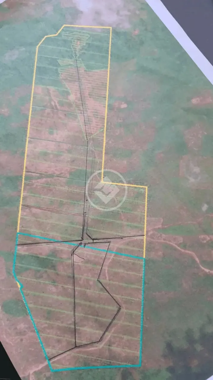 Fazenda, sentido cacéres, porteira fechada, com 35 vacas, 2 éguas, trator 265 com lamina,