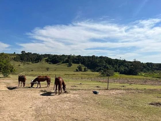 Haras à venda na região de Itapetininga-SP