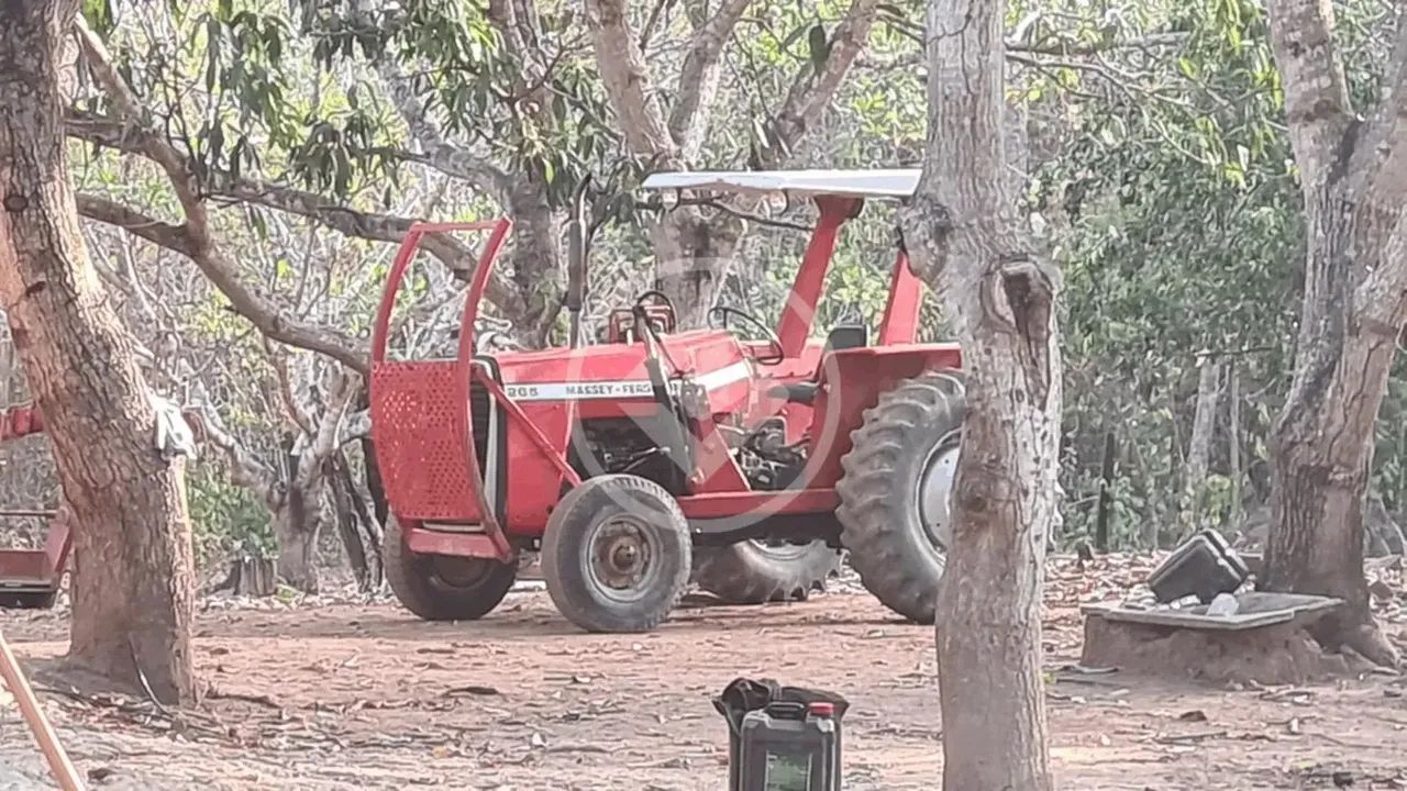 Fazenda, sentido cacéres, porteira fechada, com 35 vacas, 2 éguas, trator 265 com lamina,  - Foto 10