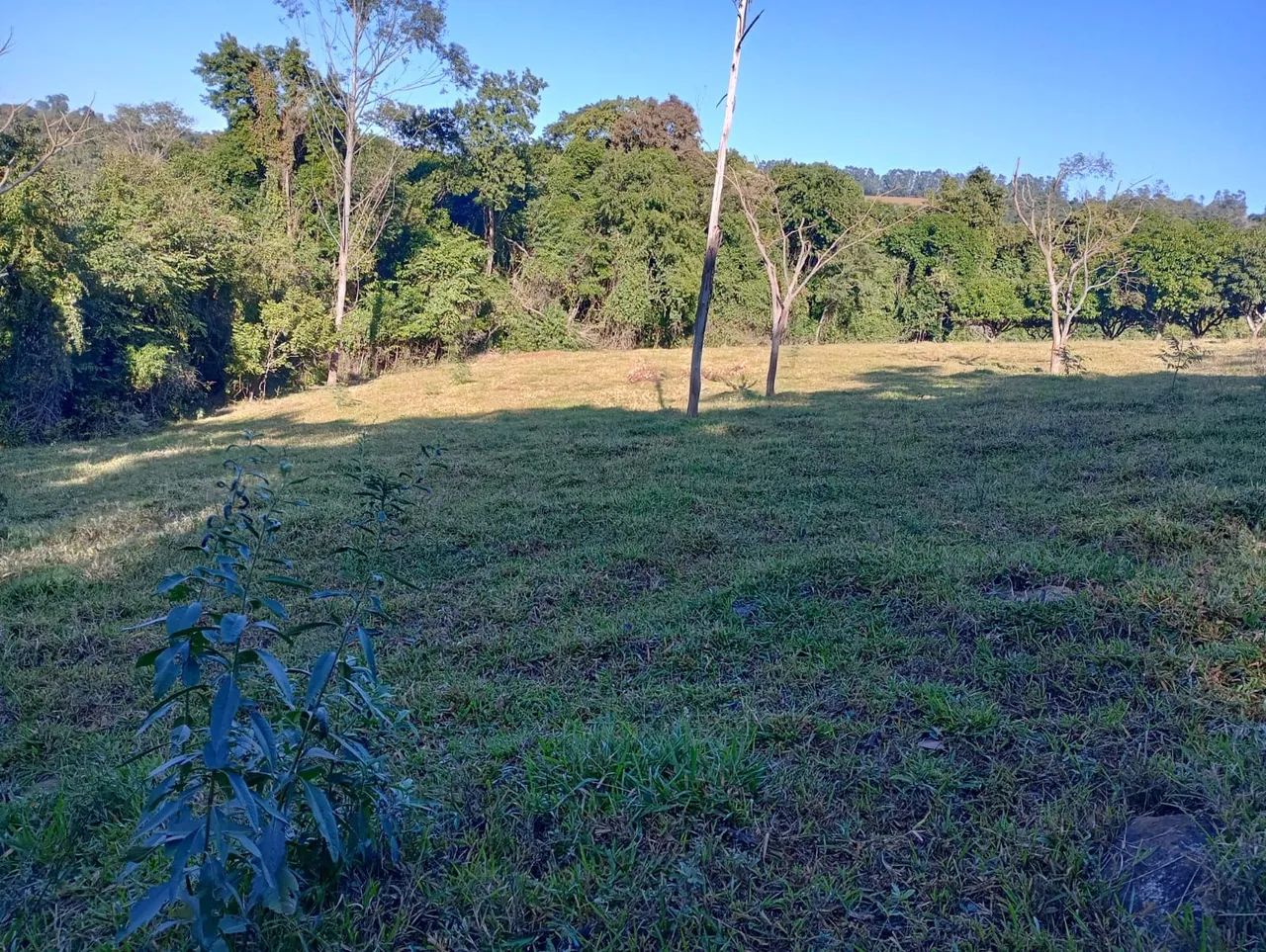 Vendo sítio ou troco por casa ou chácara beira de rio..