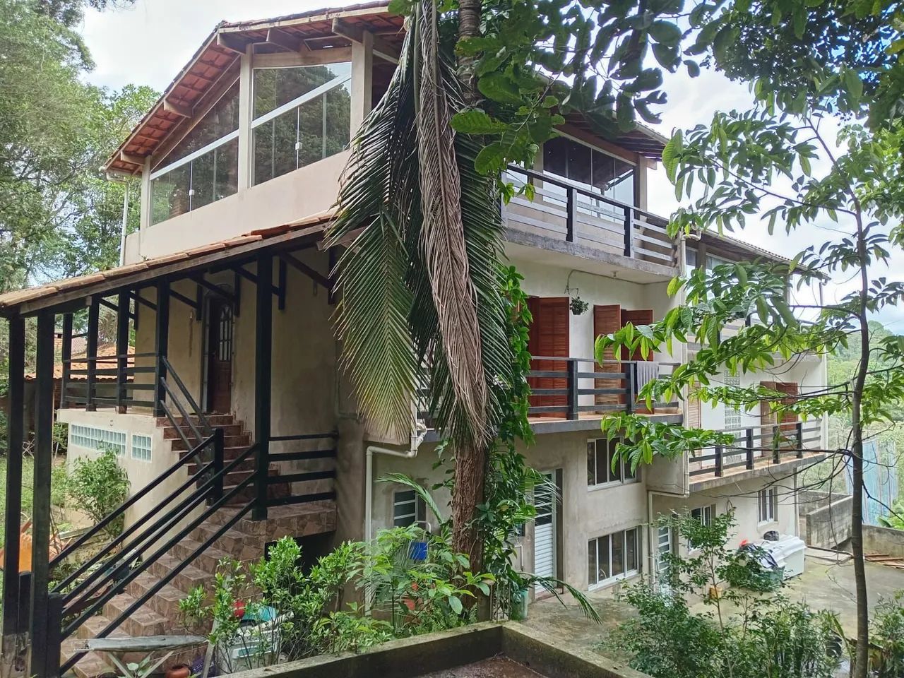 Foto - Mairiporã - Samambaia