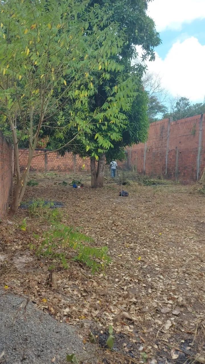 ~Terreno