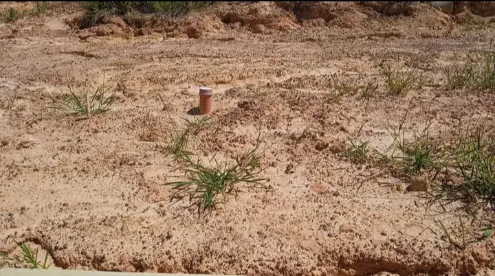 Terreno Jardim América - Cardeal