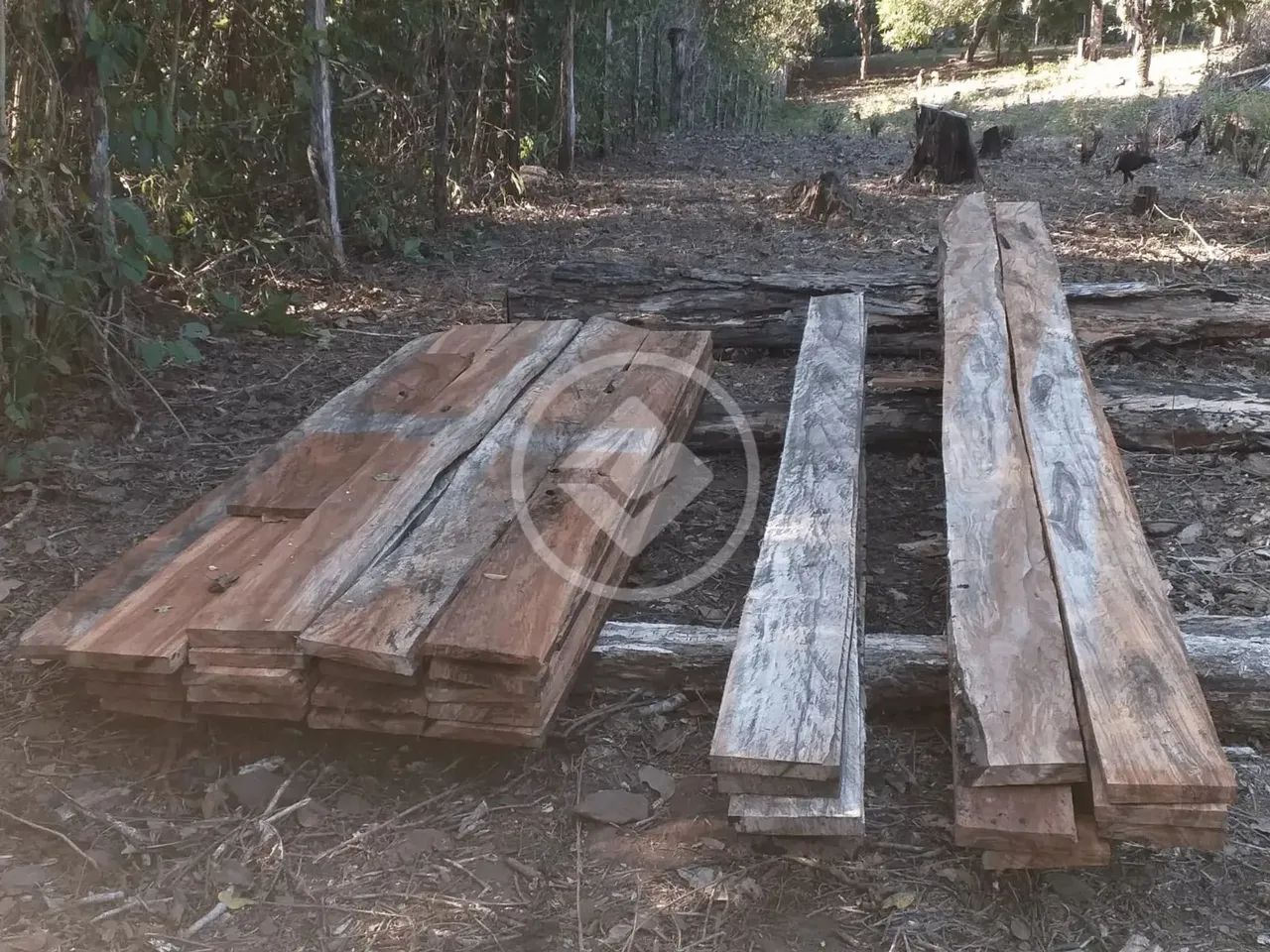 Fazenda, sentido cacéres, porteira fechada, com 35 vacas, 2 éguas, trator 265 com lamina,  - Foto 7