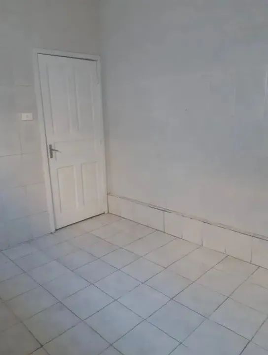 Disponível para comprar samambaia  ( entrada + parcelas)  - Foto 5