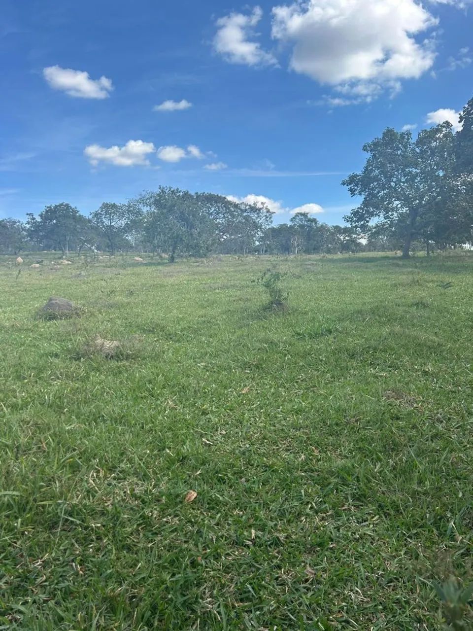 Terreno rural em mateus leme  - Foto 3