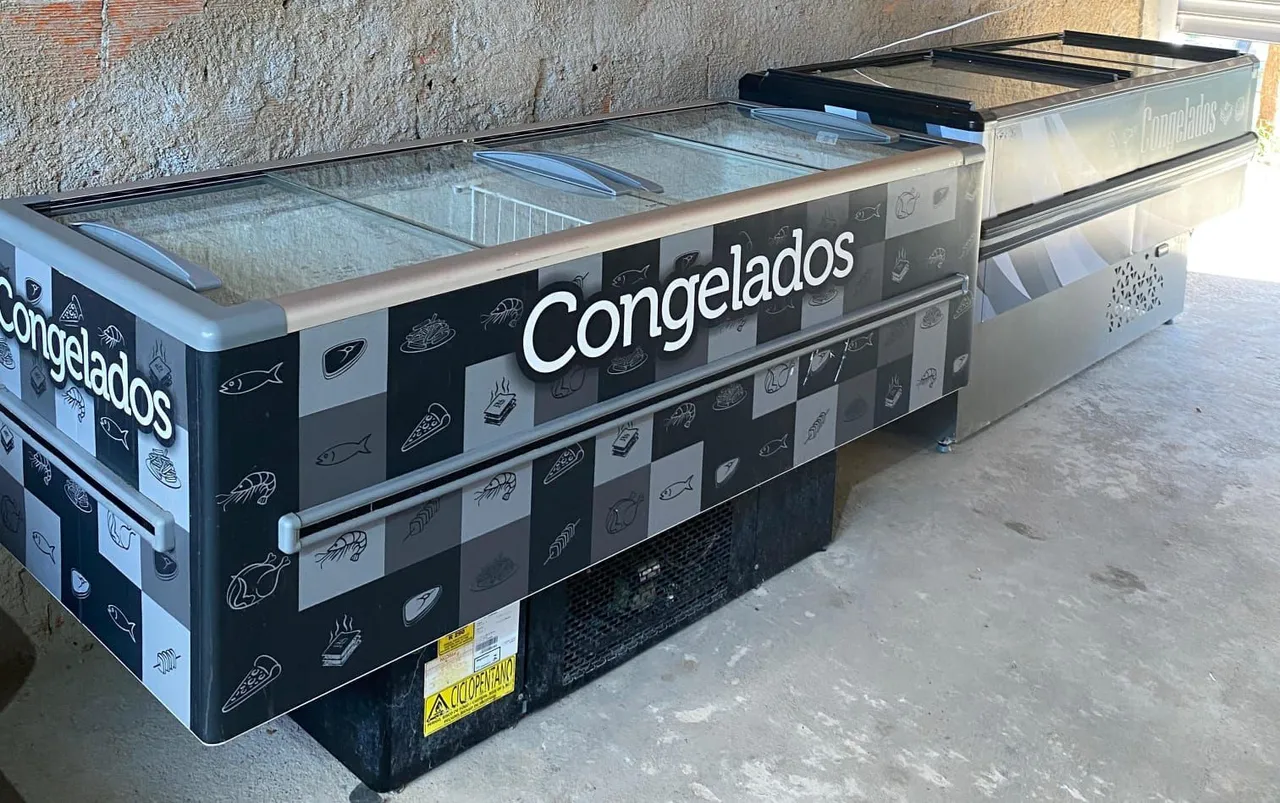 Freezer Horizontal para Congelados