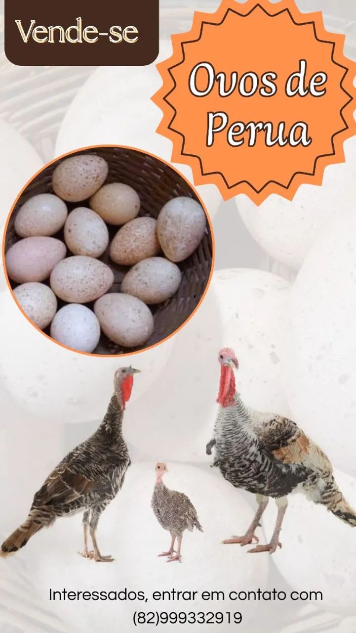 Ovos de Perua