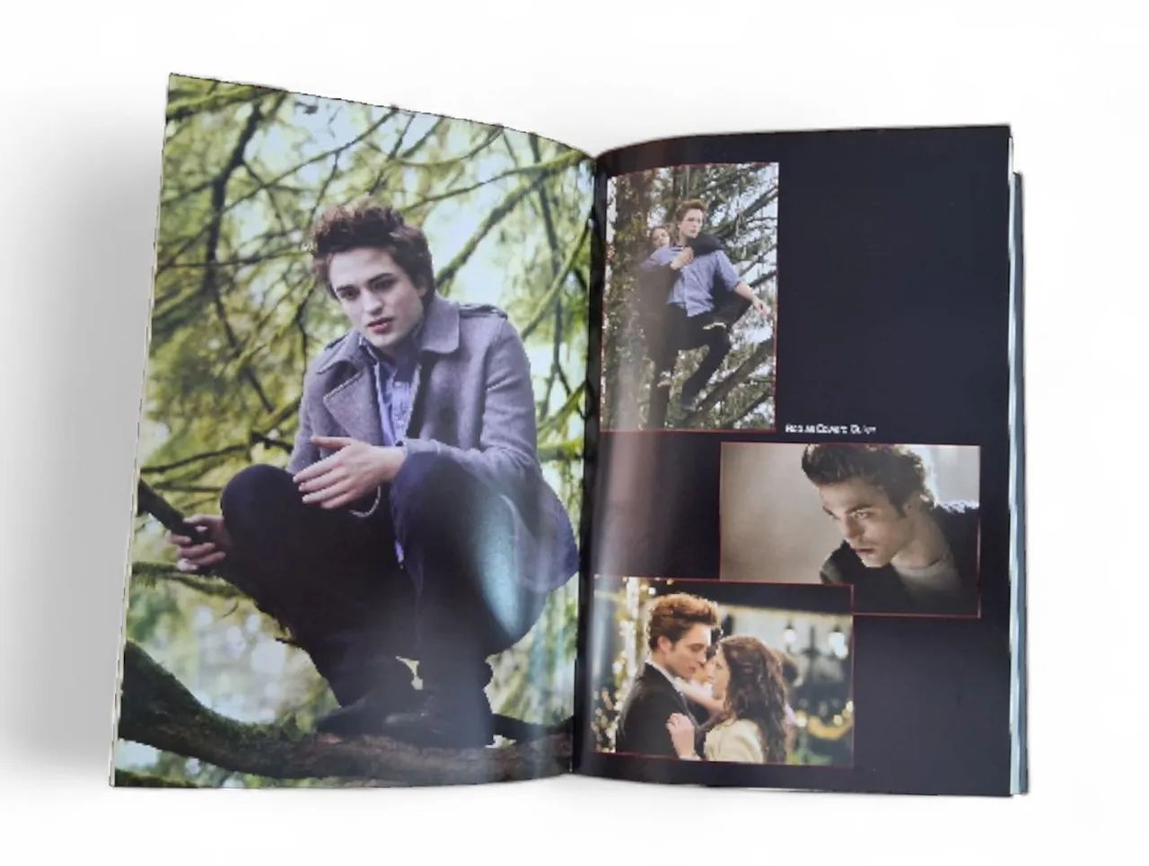 Livro biografia  - Foto 5