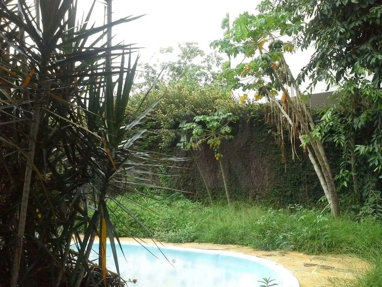 Lote - Terreno à venda, 2 vagas, Itapoã - Belo Horizonte/MG - Foto 2