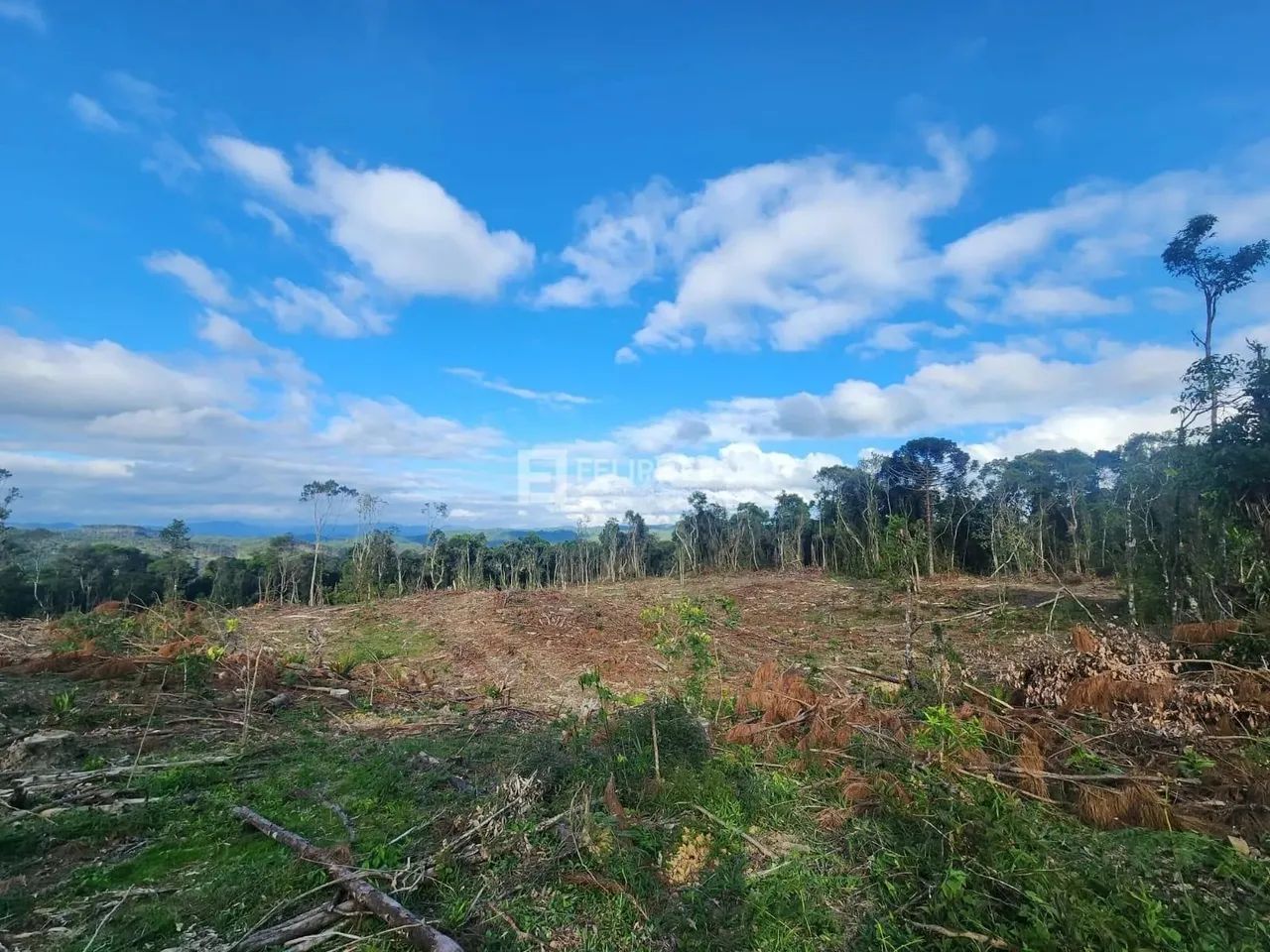 Terreno em Pinheiral - Rancho Queimado - Foto 4