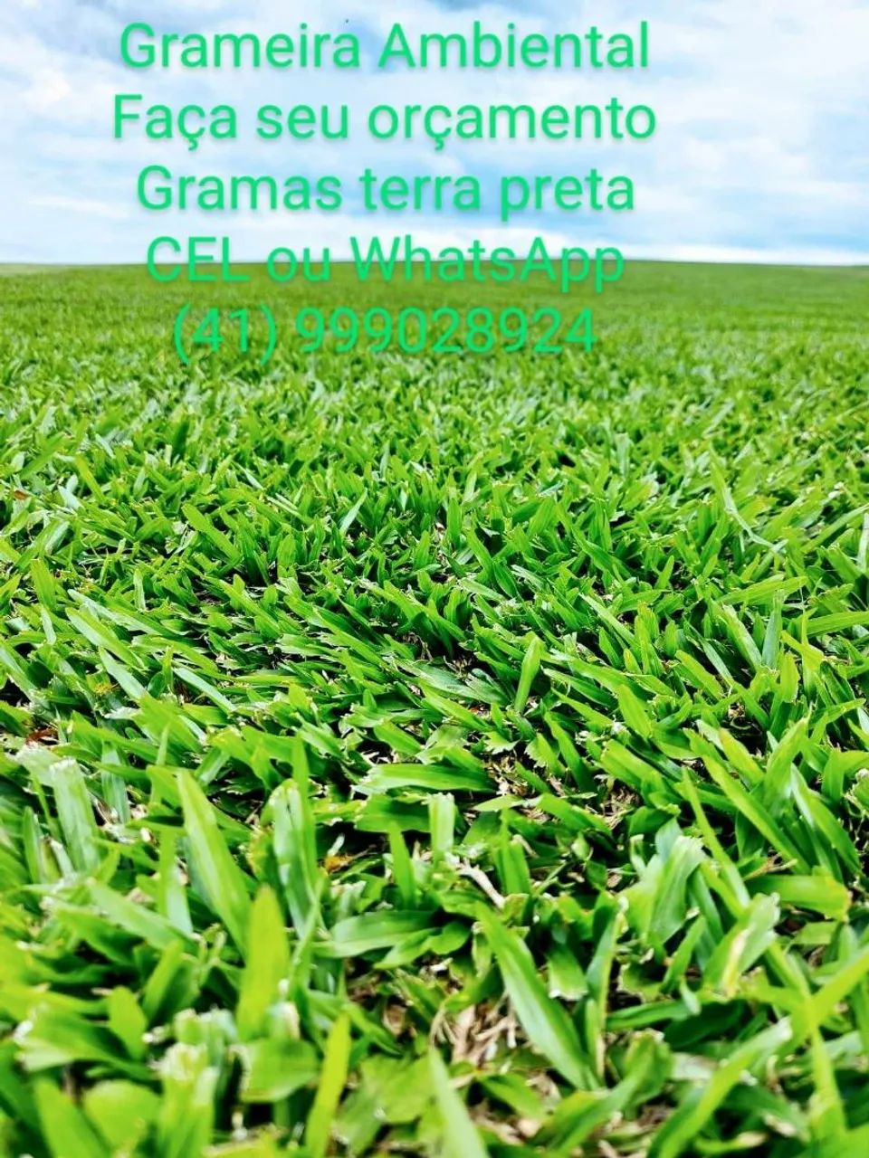 Gramas terra preta  - Foto 4