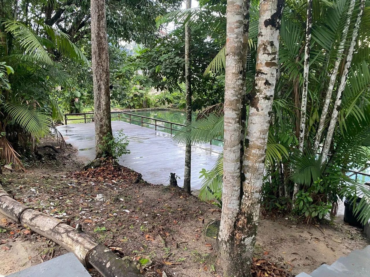 COP 30 Ap 2/4 com sacada  - Foto 9