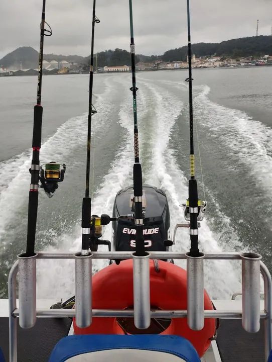 Lancha Ecologia - Foto 13