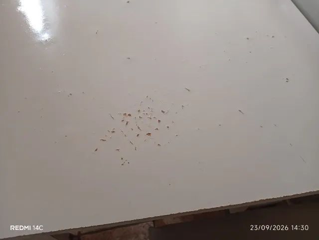 Mesa para cozinha  - Foto 3
