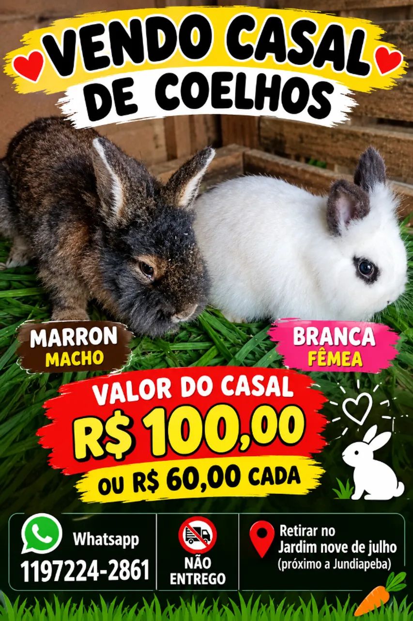 Vendo casal de coelhos 