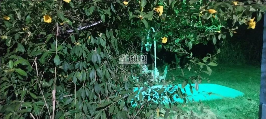 Imóvel rural à venda em Delta: Rancho de 3 dormitórios com piscina - Foto 4