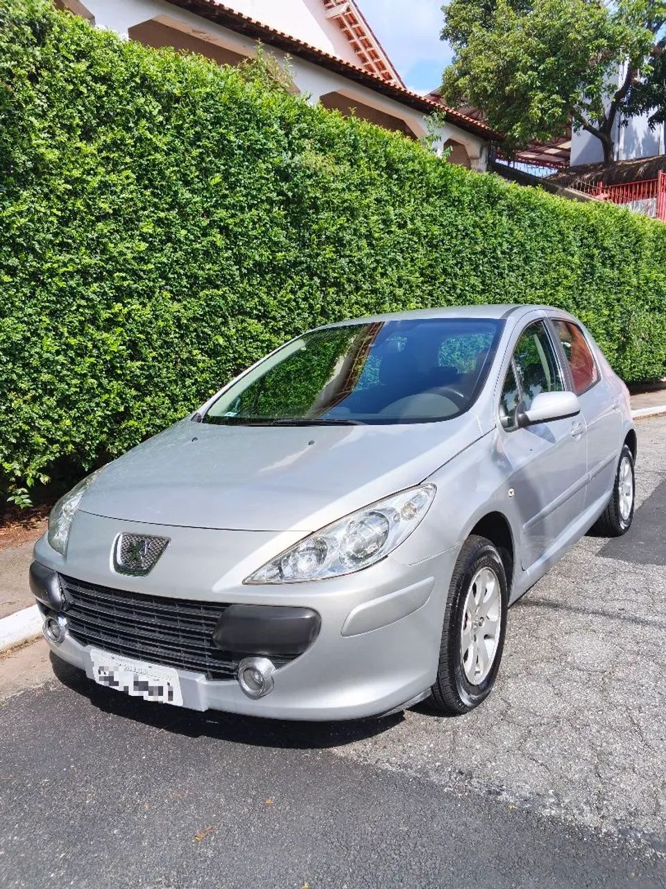 Peugeot 307 307 Feline 2.0/2.0 Flex 16V 5p Mec. 2007