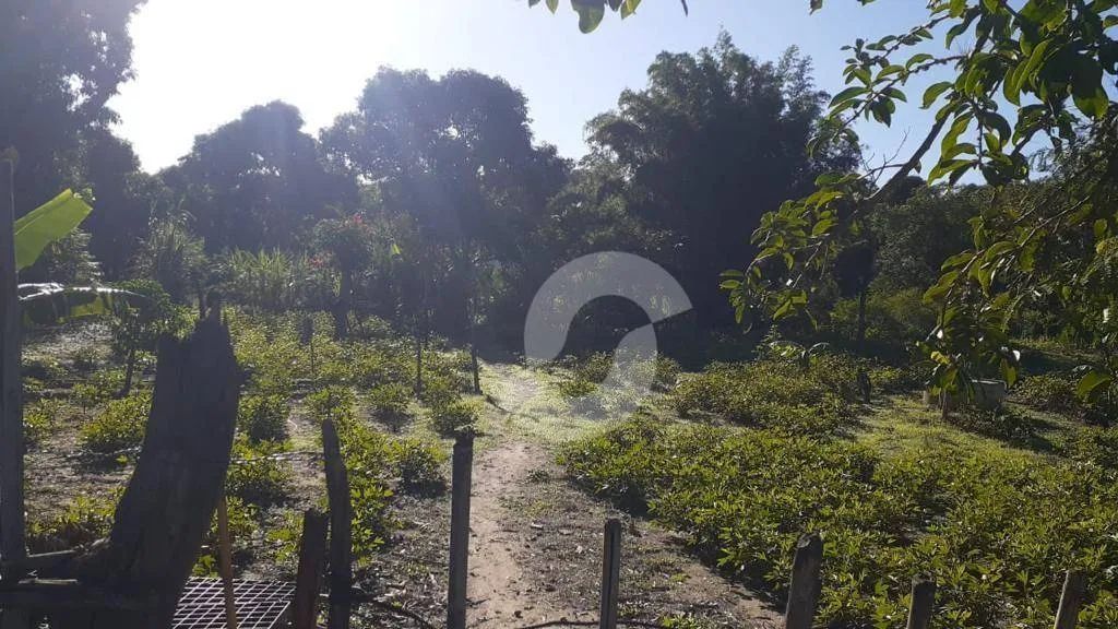 Terreno de 4753m² em Cabuçu - Foto 3