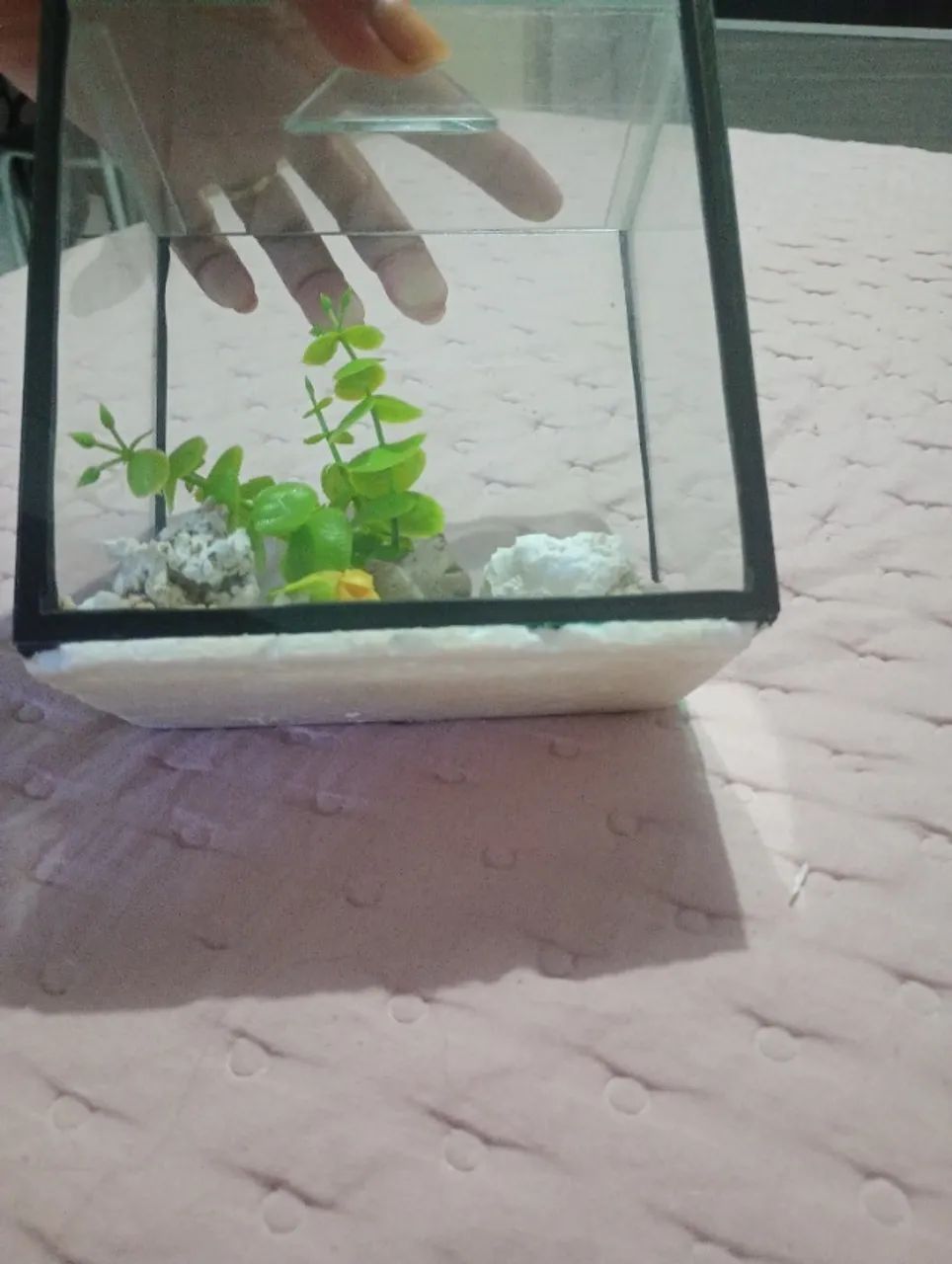 Aquário de 1 litro - Foto 3