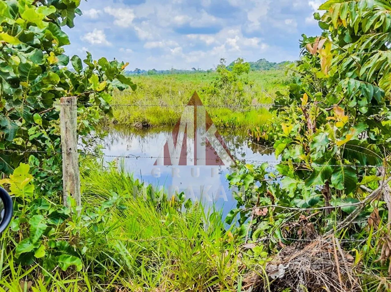 FAZENDA - ROCHEDO - MS - Foto 4