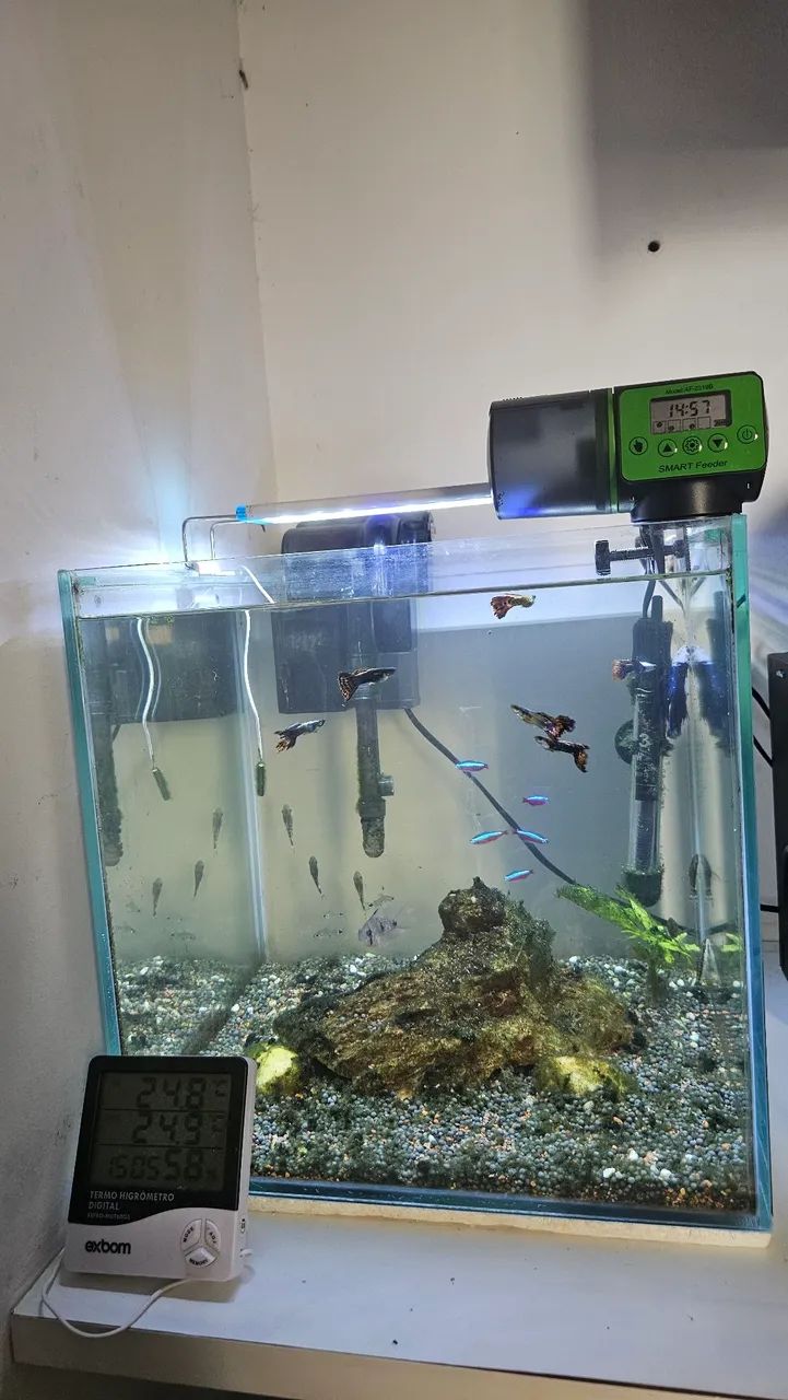 Aquário Cubo Completo 42 Litros  - Foto 3