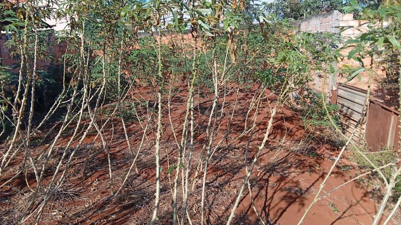 Vendo terreno em Araporã  - Foto 2