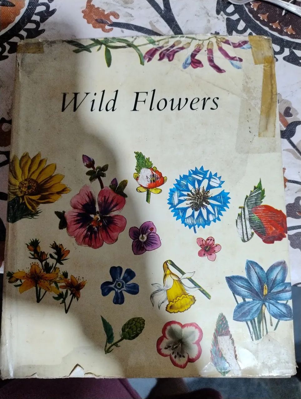 Wild flowers