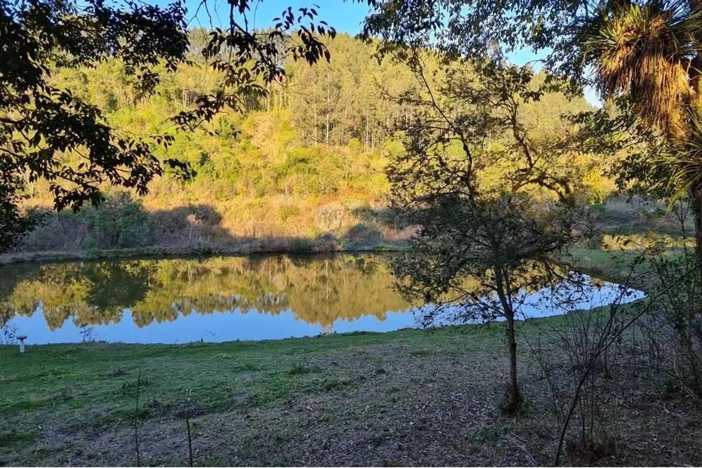 Chácara à venda com 52.000m² e cinco tanques em Mandirituba - Foto 4