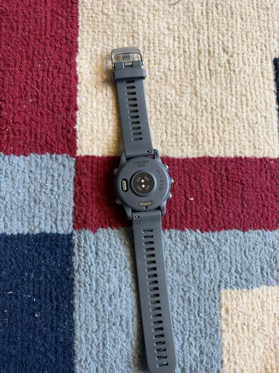 GARMIN FORERUNNER 255  - Foto 2