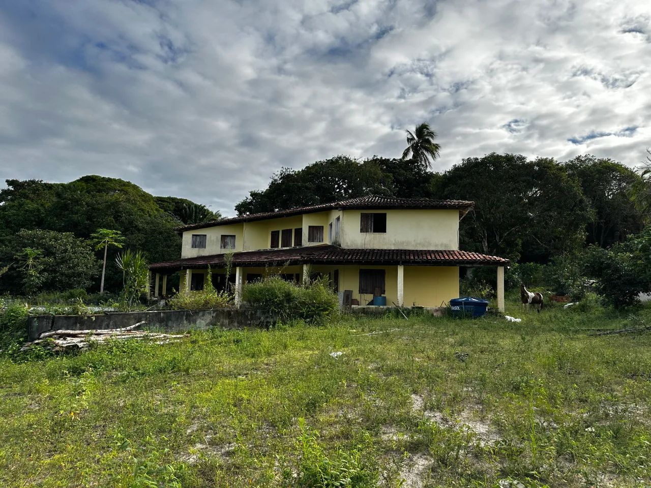 Sítio em cações- jaguaripe - Foto 3