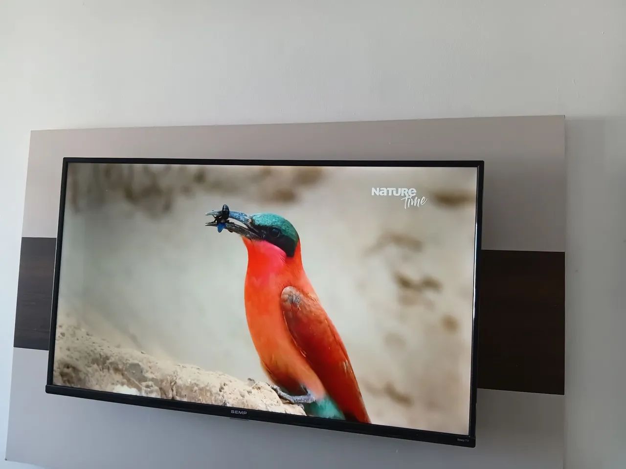 Vendo TV smart 43 polegadas
