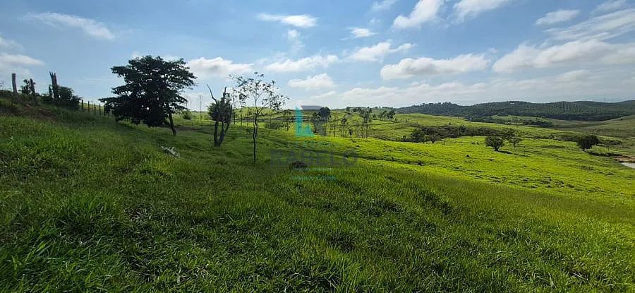 TERRENO RURAL DE TOPOGRAFIA BAIXA EM LORENA-SP - Foto 2