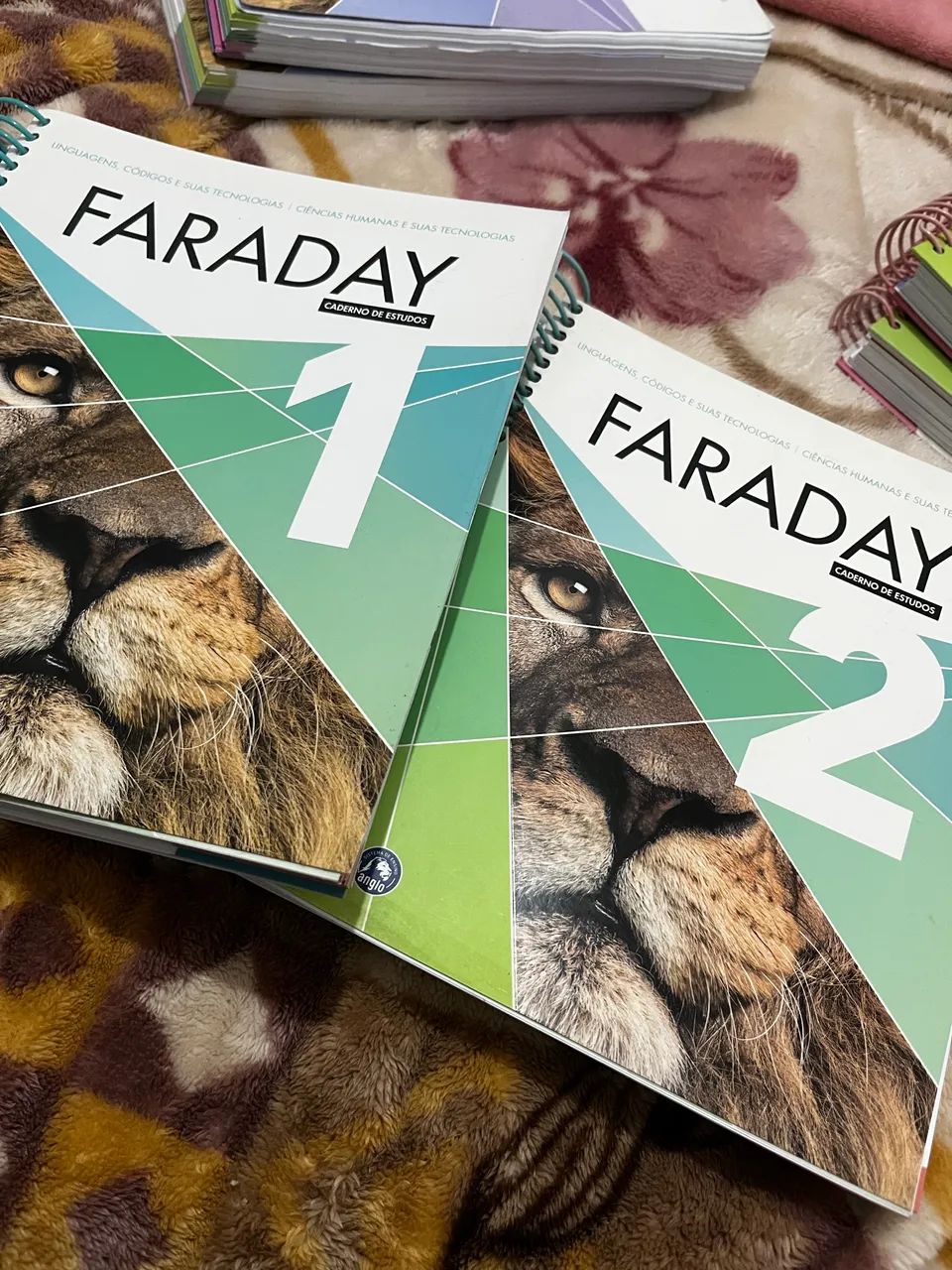Cadernos de Estudos ENEM - FARADAY - Foto 2