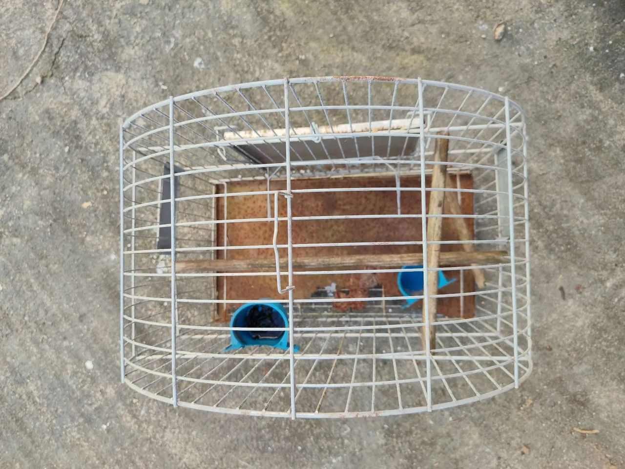 Gaiola para pássaro  - Foto 5