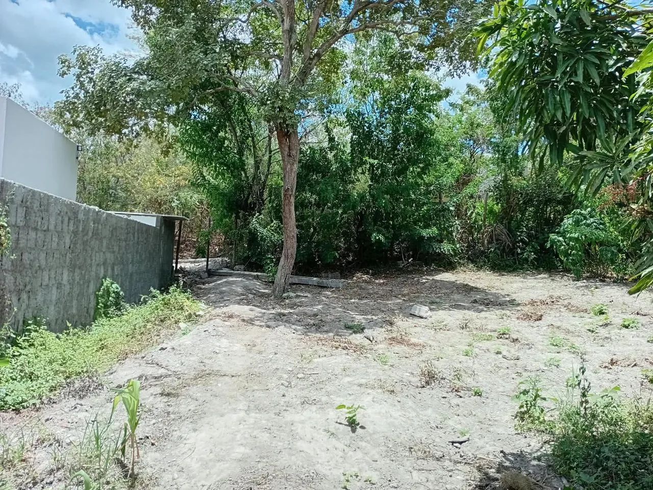 Terreno excelente em Gravatá  - Foto 3