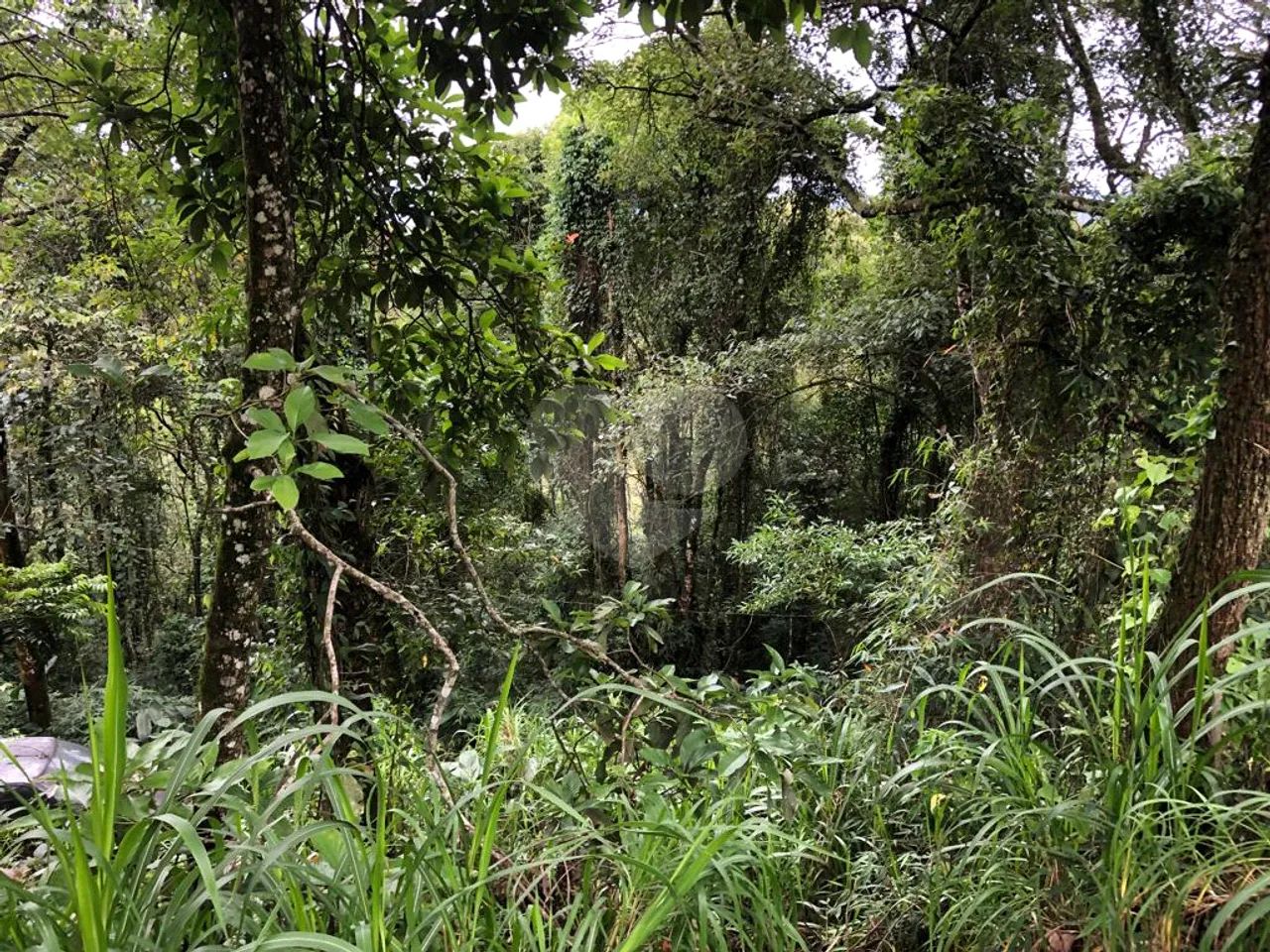 Terreno à venda em Barreiro - SP - Foto 4
