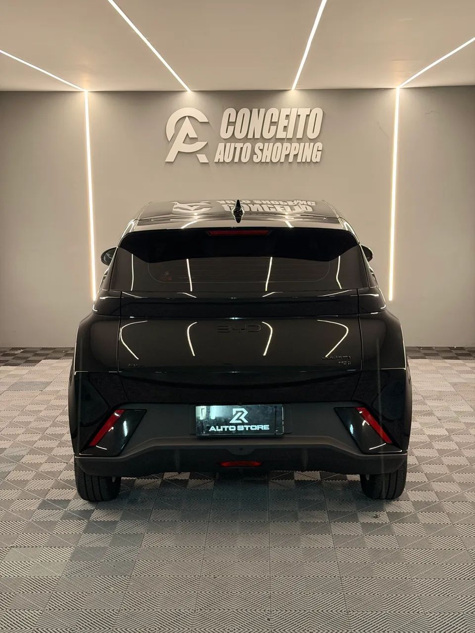 BYD Dolphin Mini (Elétrico) 2026 - Foto 4