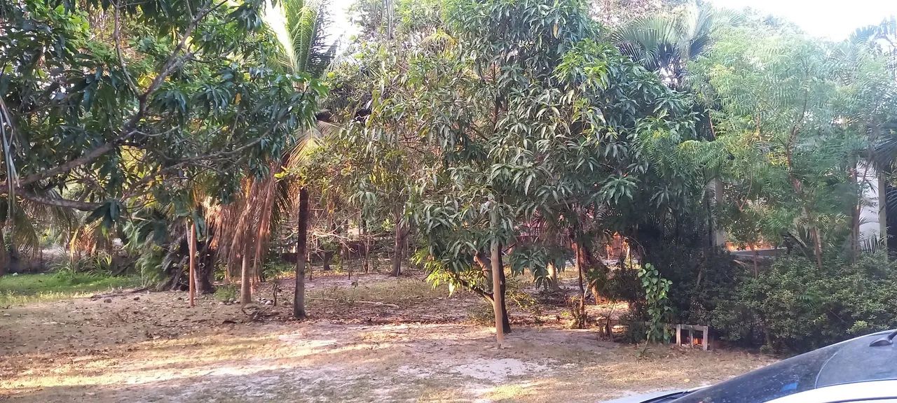 Sítio - Matões, São Gonçalo do Amarante  - Foto 4
