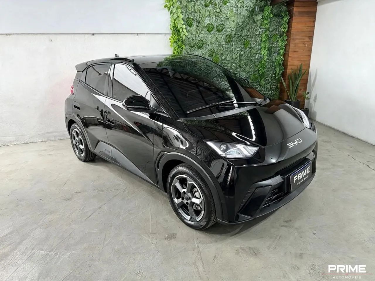 BYD Dolphin EV (Elétrico) 2025 - Foto 3