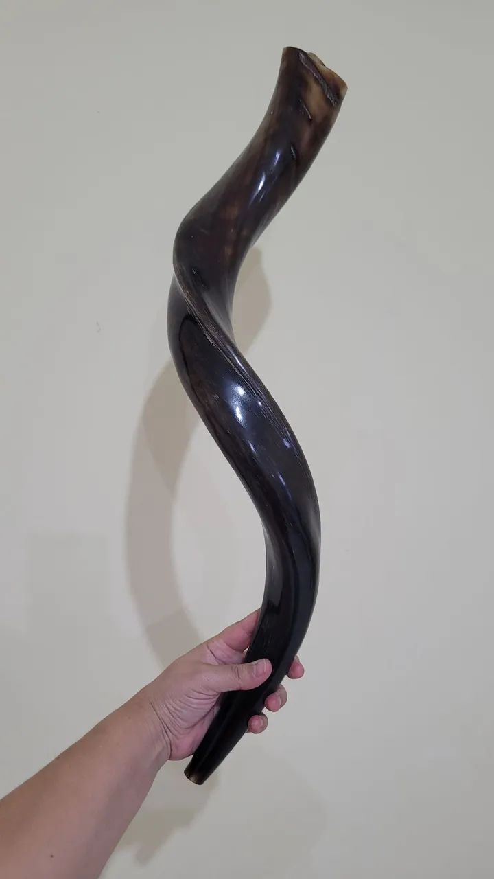 Shofar de Antilope - Foto 3