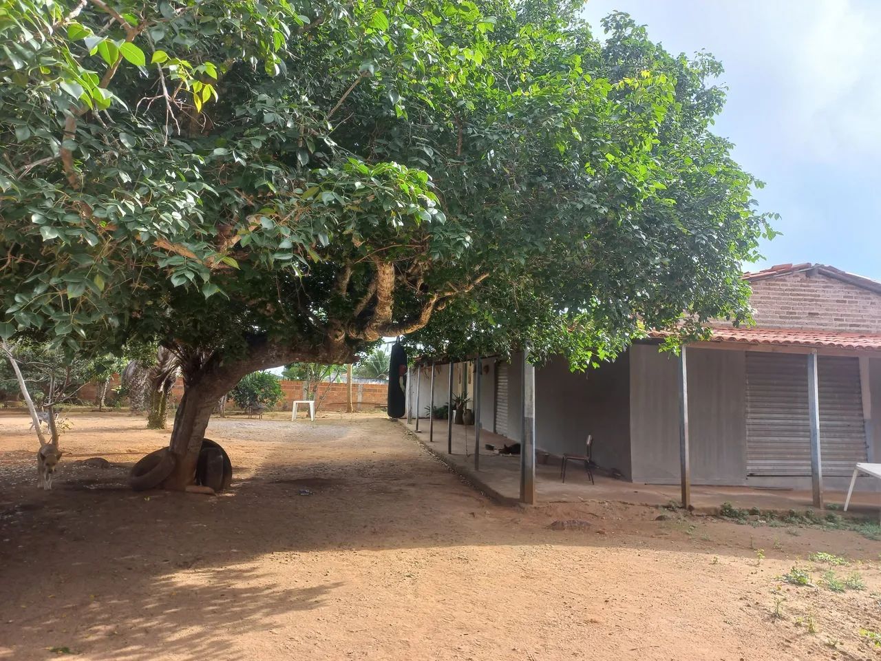 Chácara  - Foto 5