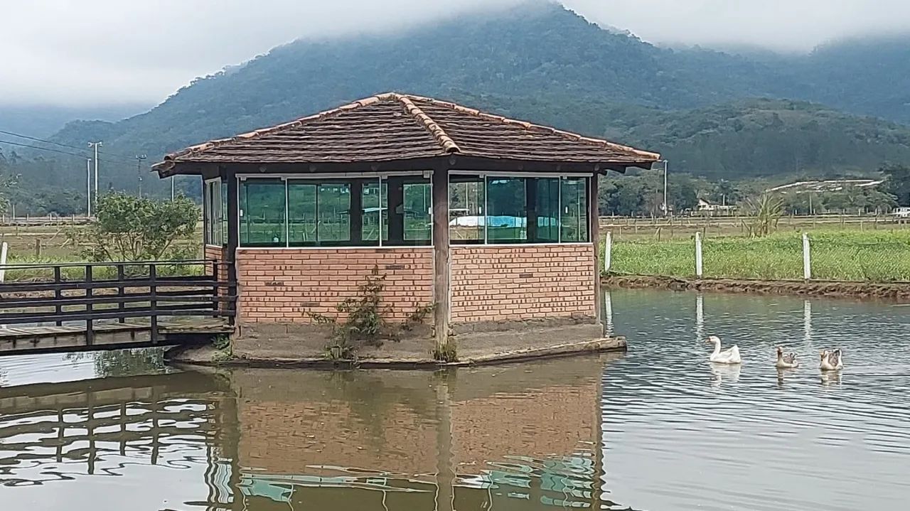 Chácara em Ascurra - Foto 5