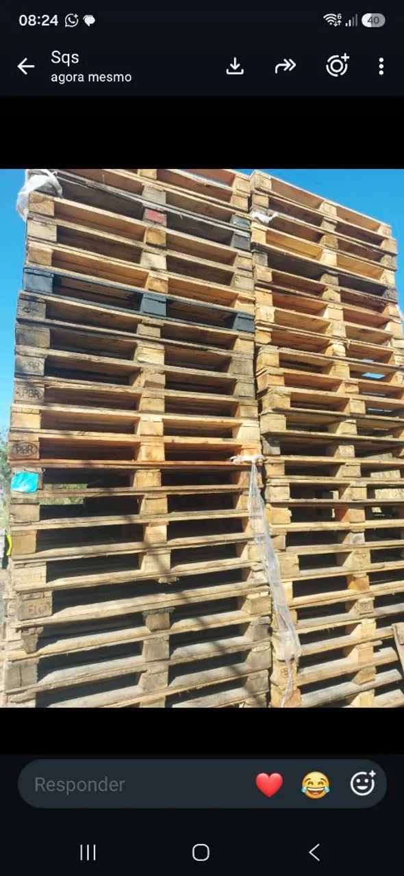 Pallet PBR - Foto 3