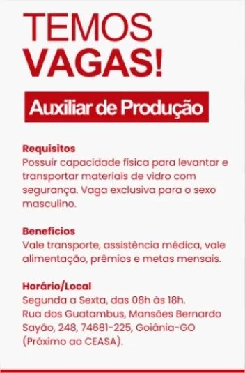 Auxiliar de carga e descarga