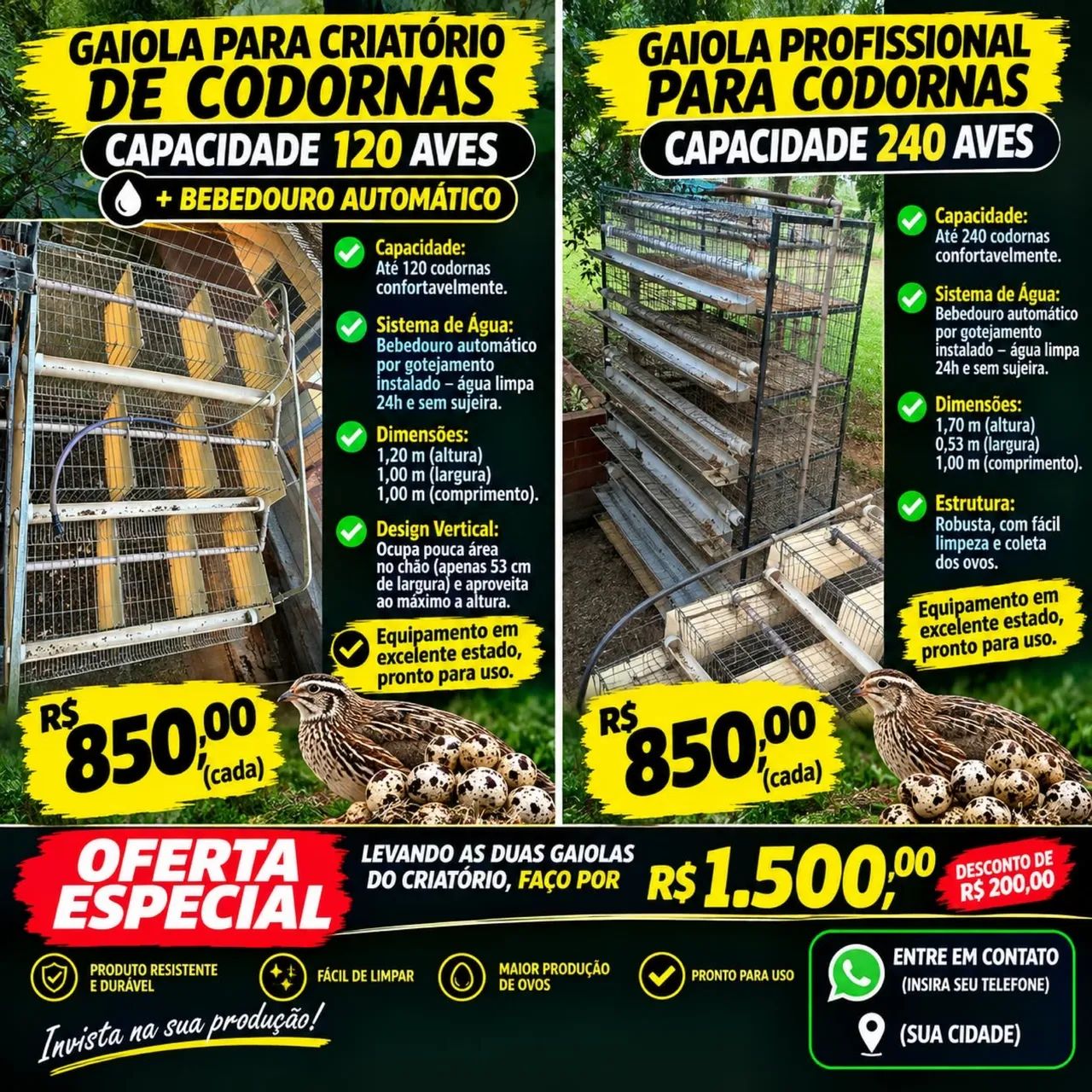 Gaiolas (Criatorio) profissional para codornas